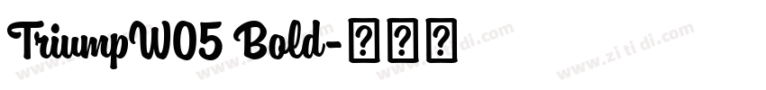 TriumpW05 Bold字体转换